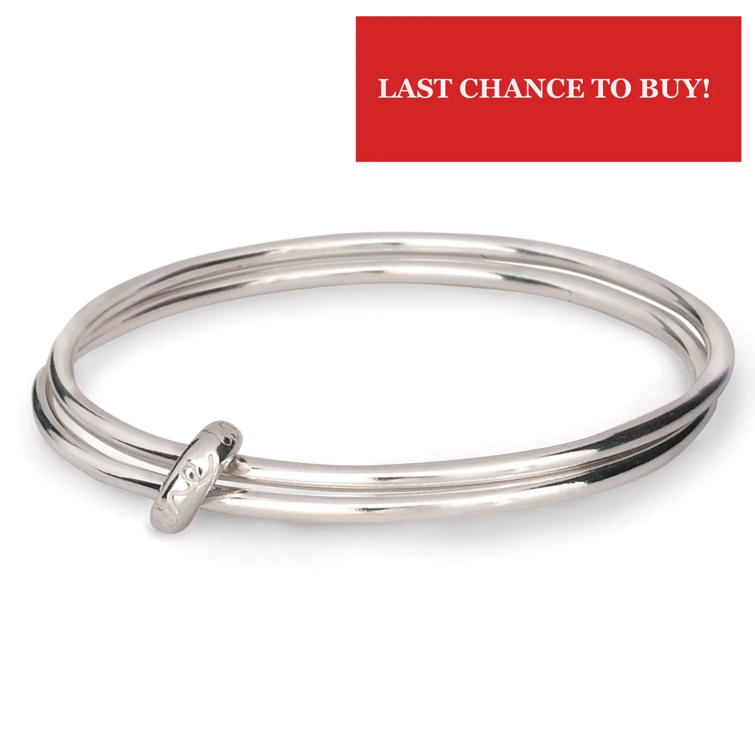 One Love' Original Silver Double Bangle