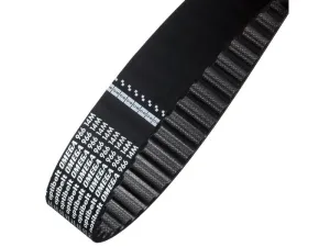 optibelt ZR Timing Belts      520 H     100